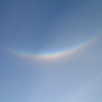 ちがくのとも (@jn0219) 's Twitter Profile