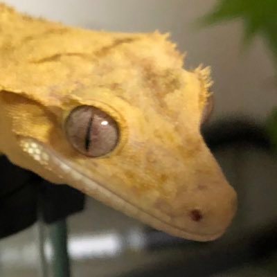 修行中の潤い