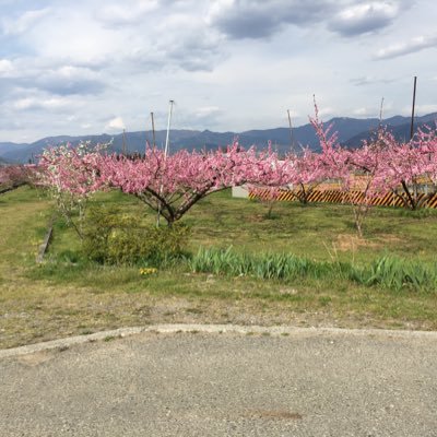 radikoプレミアムで北海道から沖縄までラジオを聴いてます。新たにラジオアカウントを作りましたFM青森、RBCIラジオ、ラジオ沖縄、FM沖縄。SBSラジオなどを聴いてます、具志堅ストアー、ゴールデンアワー社員番号14636番、華華天国センチメンタル歌謡曲、ミューシャ 週刊リッスンチルドキ、OTTAVAレギュラー会員