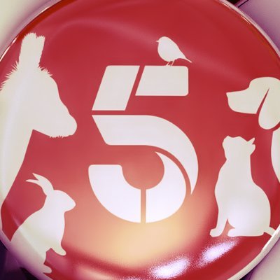 helptheanimals's profile picture. 