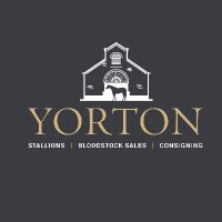 Yorton Farm Stud (@yortonfarm) 's Twitter Profile