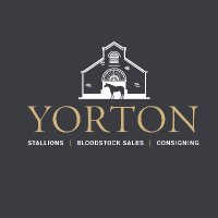 Yorton Farm Stud(@YortonFarm) 's Twitter Profile Photo