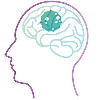 Dedicated to accelerating the clinical development of therapies to treat glioblastoma. For more details, visit https://t.co/KccGQYDWHT.