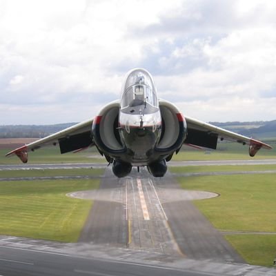 tcann1878's profile picture. Born, not manufactured