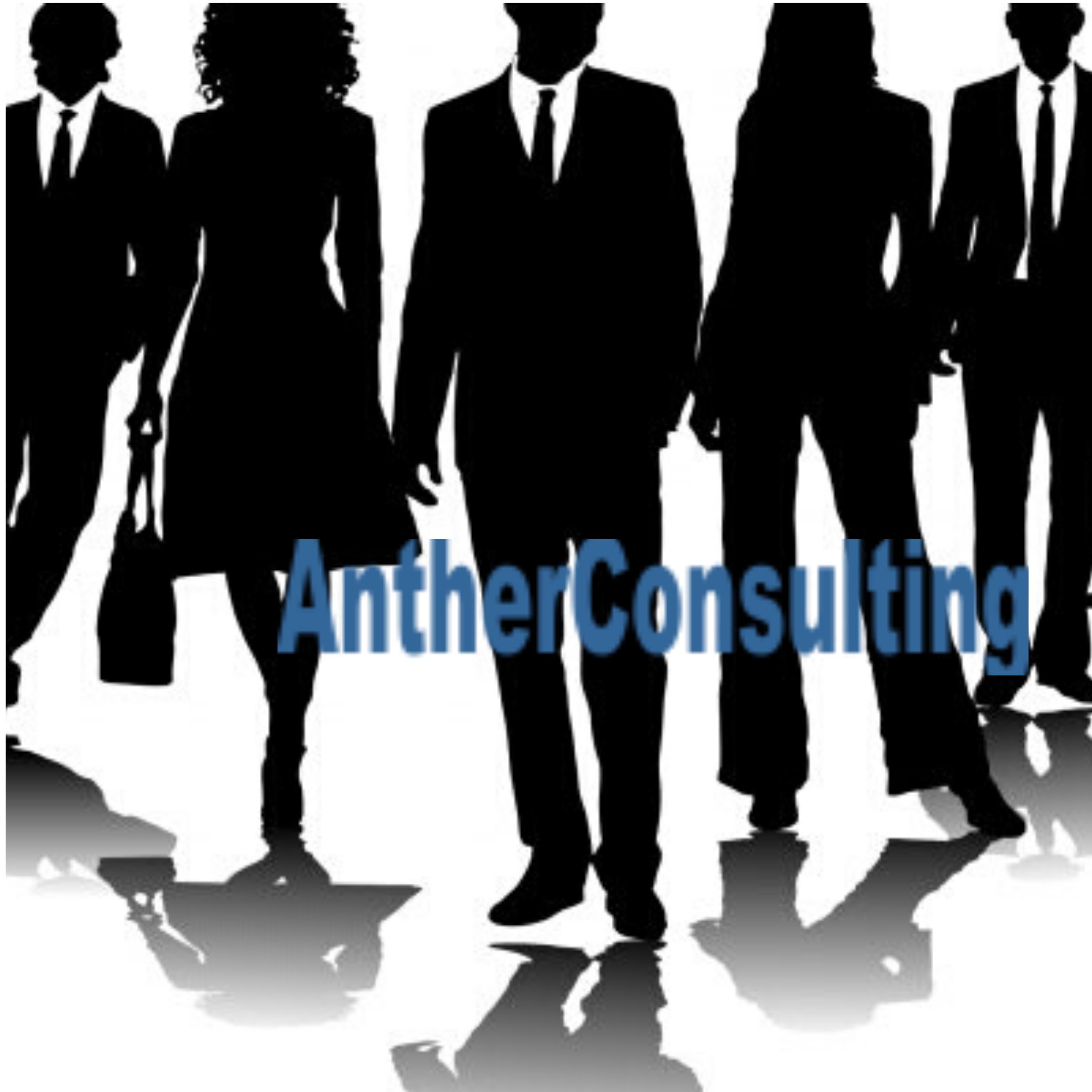 AntherConsulti2's profile picture. Anther Consulting is a management firm that specializes in Accounting, Tax Management, Auditing & Assurance, Accounting System Automation HR managements