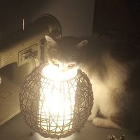 Moska (@minimousk) 's Twitter Profile