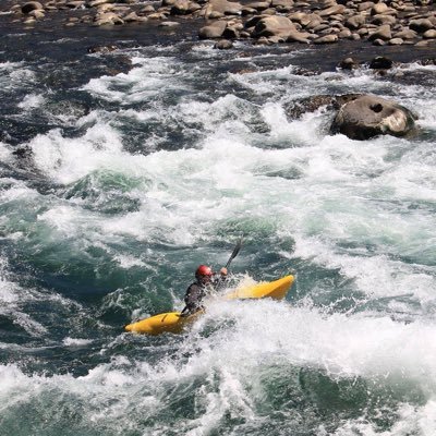 Al_Med_C's profile picture. 