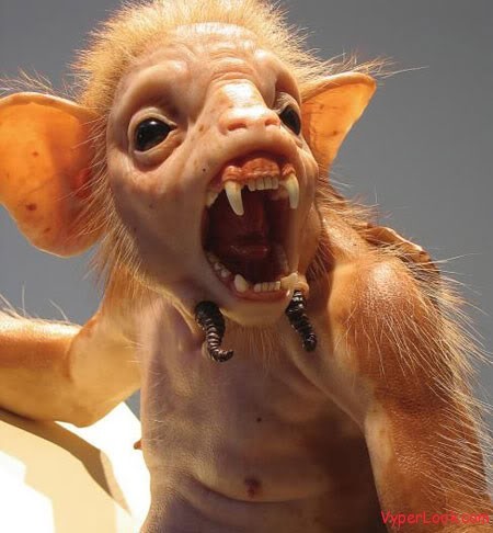 Tinman_iam's profile picture. Lumber jack