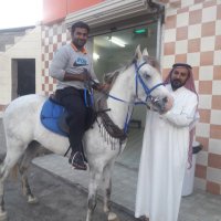 mohd Nafis (@mohdnaf88690505) 's Twitter Profile
