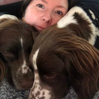 Kate Laverty (@katelaverty) 's Twitter Profile