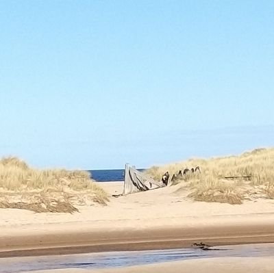 Project Officer with Communities Team in Moray
All my views are my own.