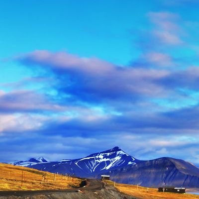 Maya_Martinveg's profile picture. Las dudas ven los obstáculos; la fe, la forma de superarlos.