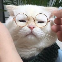 Dusty (@dustythesnowman) 's Twitter Profile Photo