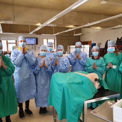happenings from the Clinical Skills Centre at the Royal Veterinary College