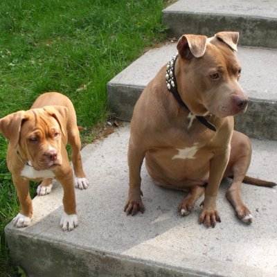 TellApril's profile picture. 