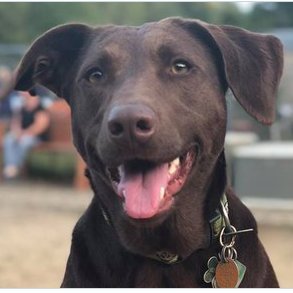 MichaelKolotila's profile picture. 