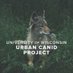 UW UrbanCanidProject (@UWCanidProject) Twitter profile photo