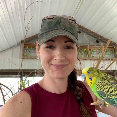 sara_biehl's profile picture. I'm originally from Ohio but moved twelve years ago to eastern shore of MD. I'm the process of getting my masters online in elementary education K-6th grade