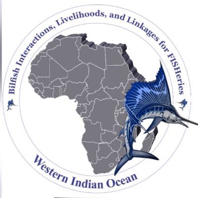 Funded by @wiomsa we explore #billfish catch dynamics, #socio-economics, genetics, & distribution in the Indian Ocean. Led by @billfishExpert & @Nwambiji