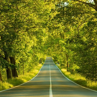 ResearchRoadies's profile picture. Travelling the States and Hitting the Books. Travel and research tips for history buffs and writers.