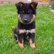 MATraderHK's profile picture. Self-Coach and Controlled Risk Taker