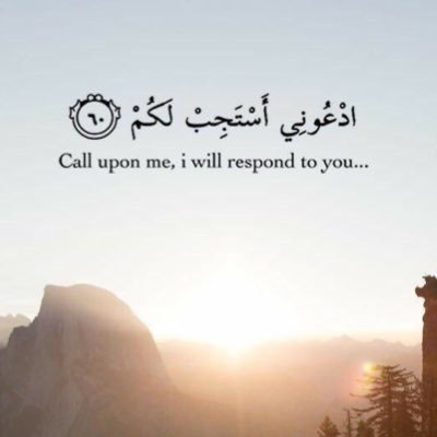 Aatiqah_M's profile picture. Cat Mom 🐱♥