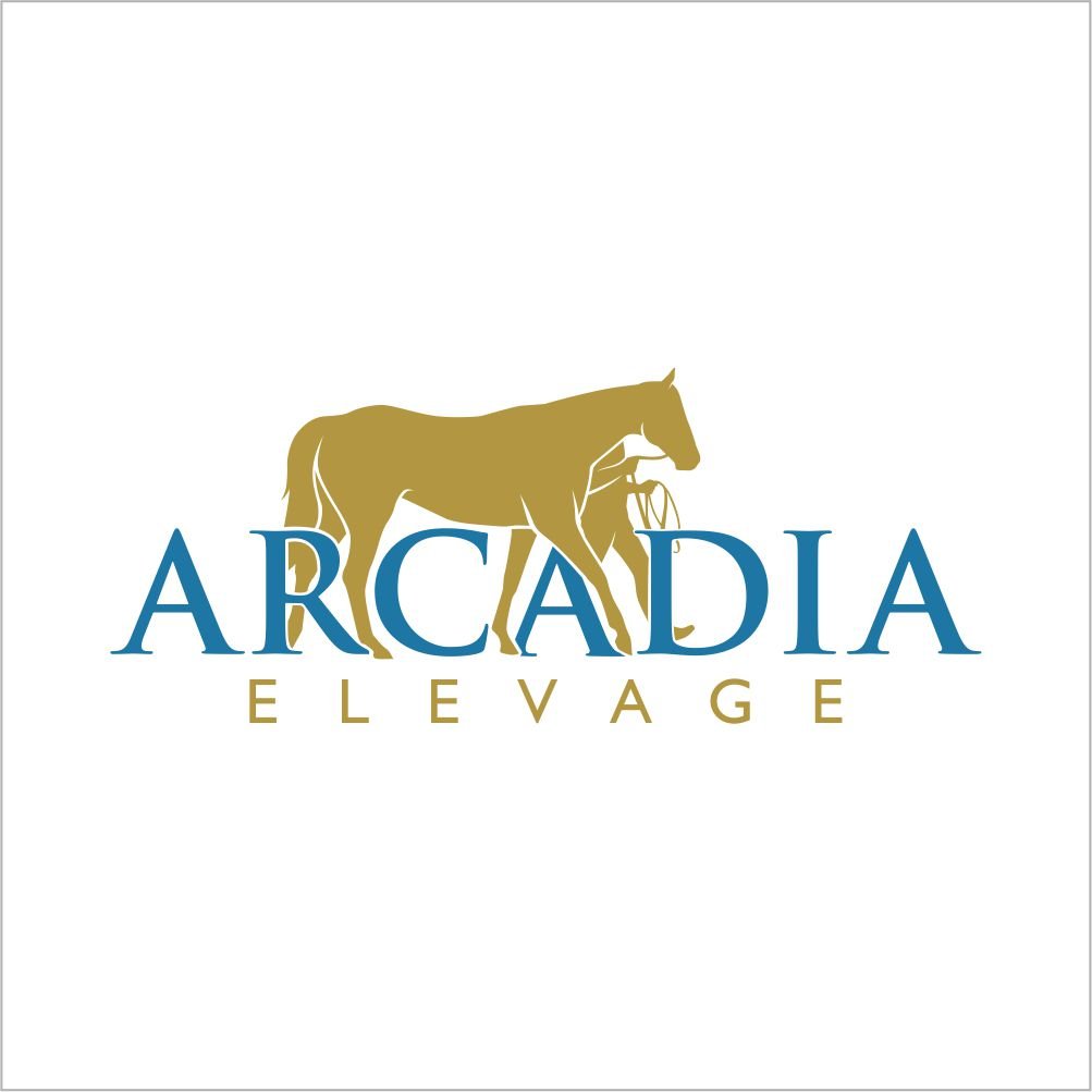 Thoroughbred stud farm located near Deauville and operated by Antoine Bellanger. Boarding, breeding and sales prep services. arcadiaelevage@gmail.com