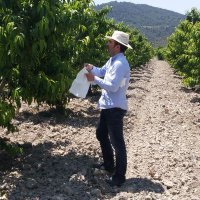 Ali Çelik 🇹🇷 (@dr_celikali) 's Twitter Profile