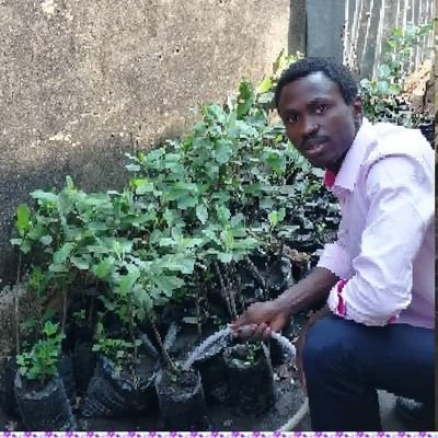 We plant Orchards.
We make planting apple in Nigeria a reality.