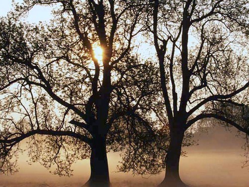 swjal's profile picture. Waiting..waiting for the world to change. 
People before profit.  The health of our planet before profit. 
WE CAN'T EAT MONEY ALONE.