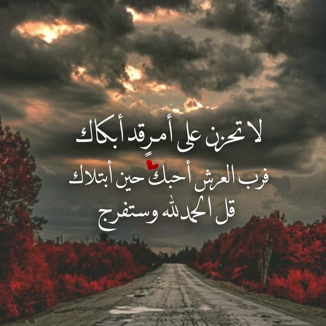 vP1psebBUfgVPsX's profile picture. اذا اراد الله شيئا فإنه يقول له كن فيكون بيده الامر كله وعليه يتوكل المؤمنون