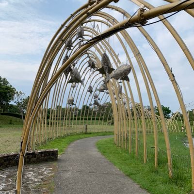 LeticiaTalaver3's profile picture. 