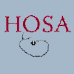 Minnesota Chapter of Health Occupations Students of America is a National Career and Technical Student Organization.