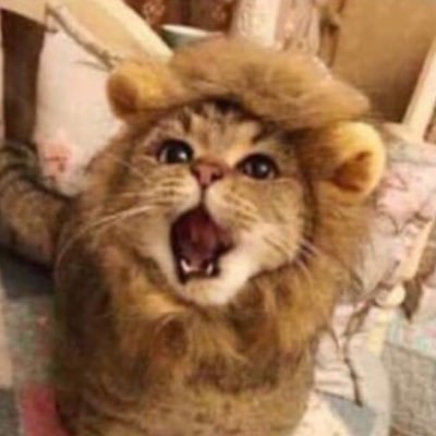 BobertTheBreast's profile picture. Sup a duck