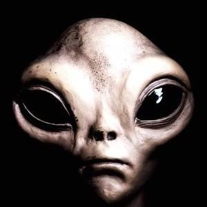 pluton_for_ever's profile picture. എഇഒ ജനം ഷ ഭഠേഋആ വനൗഝീ !!!
Nous allons bientôt vous régler votre compte bande de dégénérés !!! 👽 🌍☄☠☠☠