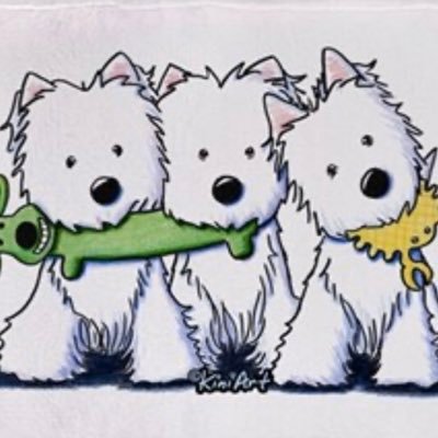 cross7443's profile picture. Rosie, Millie, Flora, Daisy 🌈