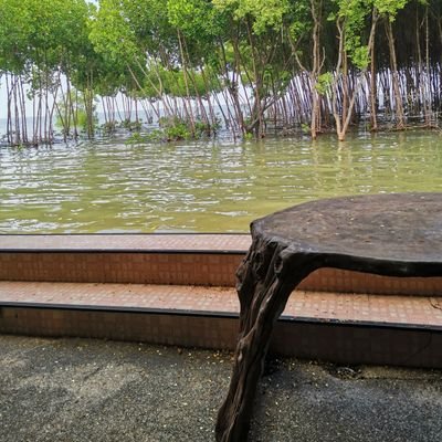 goodfrow's profile picture. 🙊🔇