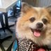 Kok Hang Cheng (@kokhangcheng1) Twitter profile photo Kok Hang Cheng (@kokhangcheng1) Twitter profile photo