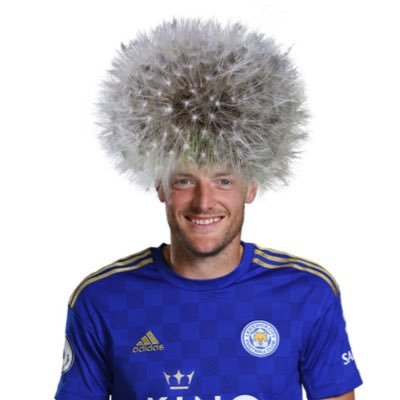 Glimpses from an alternate timeline where Jamie Vardy has a seedhead. Account run by alternate timeline expert WTJ Blanchard. Chat shit get banged #SafeFalconry