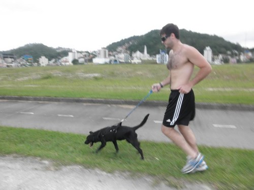 Galo Veio