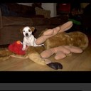 Zak Phillips - @SecondZak - Twitter