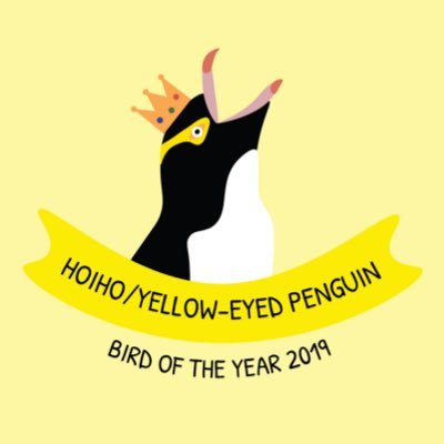 Celebrating the yellow-eyed penguin. New Zealand’s #BirdOfTheYear for 2019!