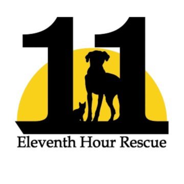 Eleventh Hour Rescue, is a volunteer based, no kill rescue that saves animals on death row from high kill shelters and finds them their forever homes.