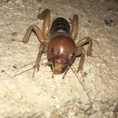 U2486's profile picture. Interested
