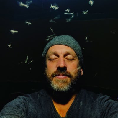 Toby strong Profile