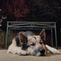 Ulises Ramirez (@the_kingmatrix) 's Twitter Profile