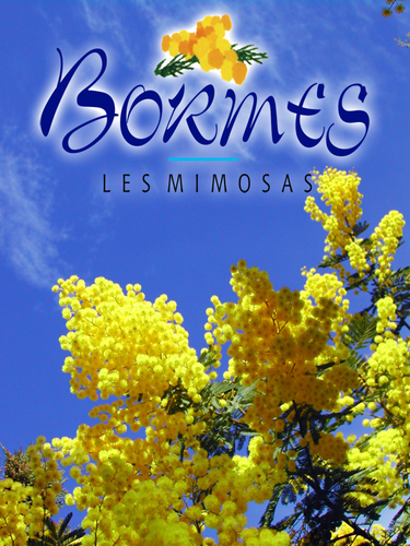 Office de Tourisme de Bormes les Mimosas