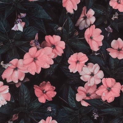 fxsloz's profile picture. 