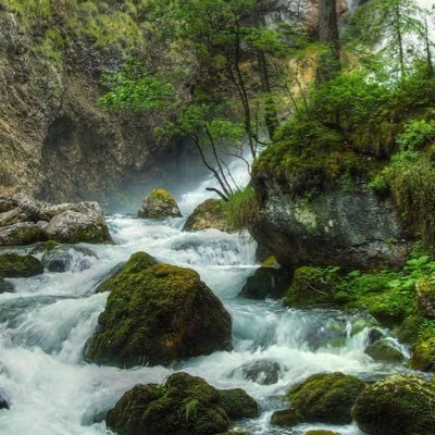 c4350cv2's profile picture. 