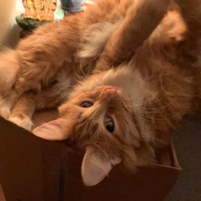 Male (he/him) / 27 / Single / Cute Guys, Good Art, Cats / Sasuke Seta on Bryn FFXIV / Just trying to get from one day to the next